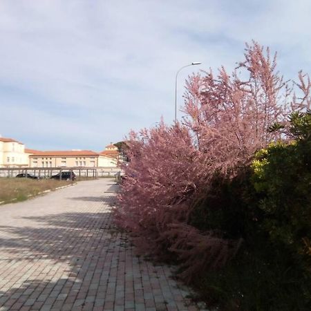Casa Nel Parco Sulla Spiaggia Pisa Exterior foto